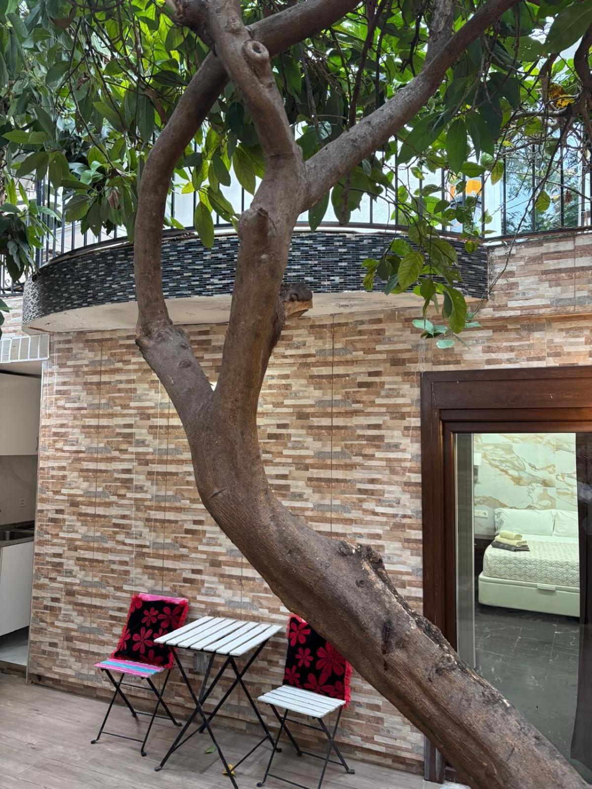 Studio Terrace